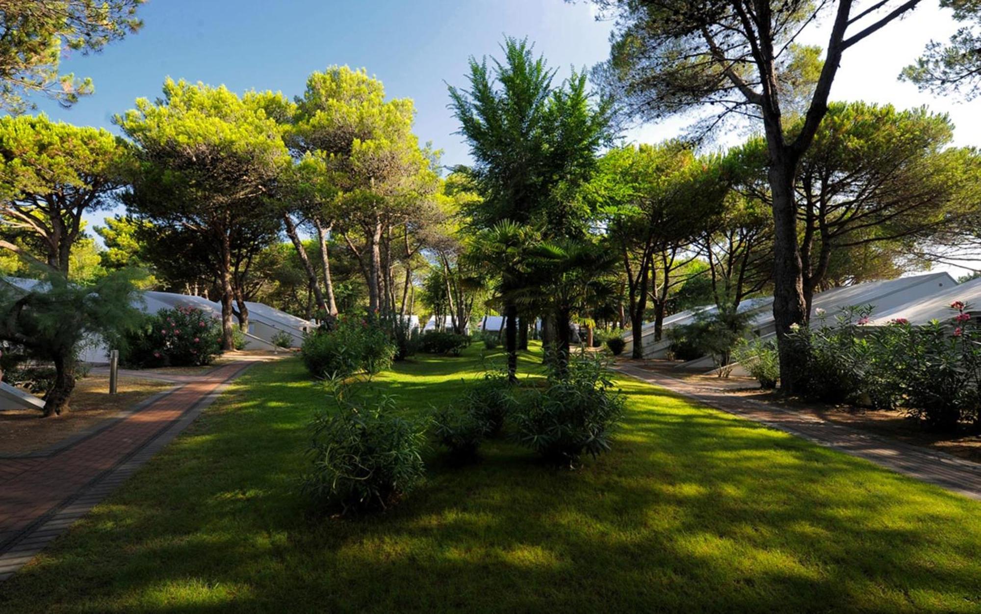 Dei Fiori Camping Village 卡瓦利诺 客房 照片